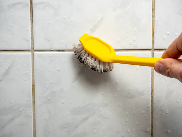 Best Mold Testing and Inspection Services in Colton, CA